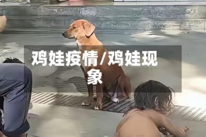 鸡娃疫情/鸡娃现象