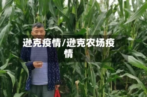 逊克疫情/逊克农场疫情