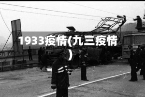 1933疫情(九三疫情)