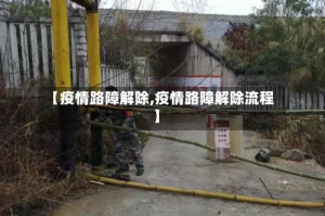 【疫情路障解除,疫情路障解除流程】