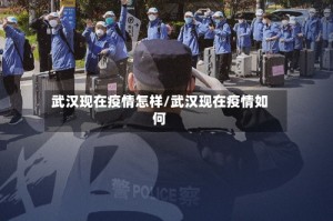 武汉现在疫情怎样/武汉现在疫情如何
