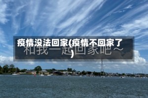 疫情没法回家(疫情不回家了)