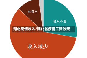 湖北疫情收入/湖北省疫情工资政策
