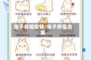 兔子养殖疫情/兔子养殖政策