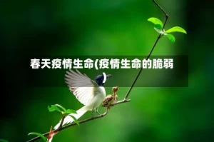 春天疫情生命(疫情生命的脆弱)