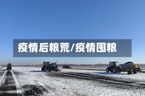 疫情后粮荒/疫情囤粮