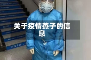 关于疫情燕子的信息