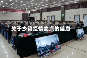 关于乡镇疫情亮点的信息