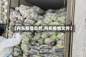 【丹东疫情处罚,丹东疫情文件】