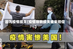 因为疫情损失(疫情导致损失谁来赔偿)