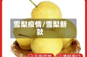 雪梨疫情/雪梨新款