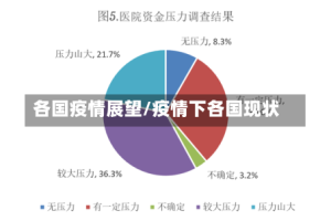 各国疫情展望/疫情下各国现状