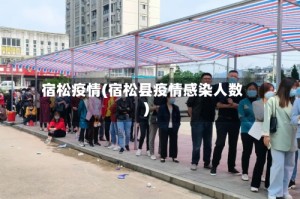 宿松疫情(宿松县疫情感染人数)