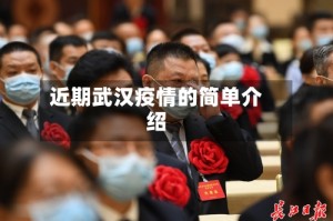 近期武汉疫情的简单介绍