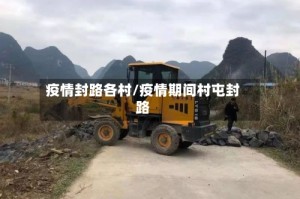 疫情封路各村/疫情期间村屯封路