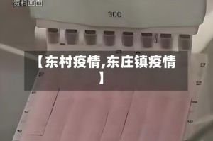 【东村疫情,东庄镇疫情】