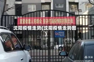 沈阳疫情走势(沈阳疫情走势图)