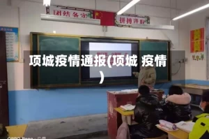 项城疫情通报(项城 疫情)