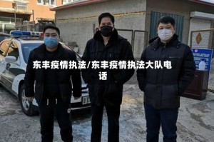 东丰疫情执法/东丰疫情执法大队电话