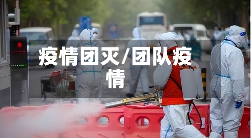 疫情团灭/团队疫情-第2张图片