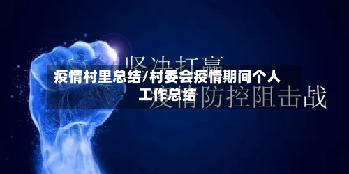 疫情村里总结/村委会疫情期间个人工作总结-第2张图片