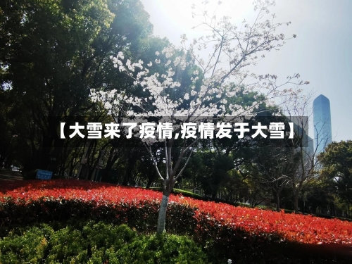 【大雪来了疫情,疫情发于大雪】-第1张图片