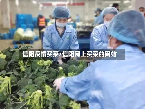 信阳疫情买菜/信阳网上买菜的网站-第2张图片