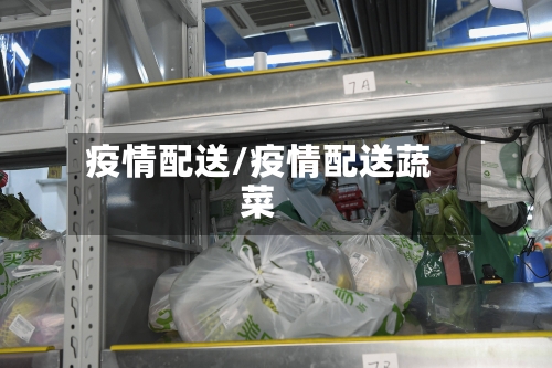 疫情配送/疫情配送蔬菜-第1张图片