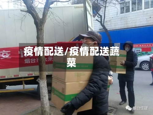 疫情配送/疫情配送蔬菜-第3张图片