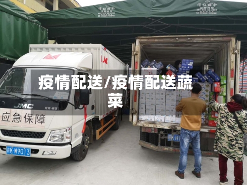 疫情配送/疫情配送蔬菜-第2张图片