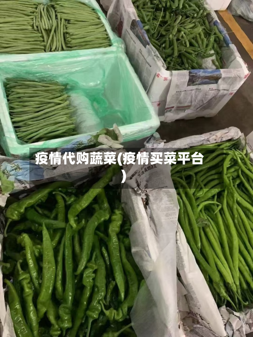 疫情代购蔬菜(疫情买菜平台)-第1张图片