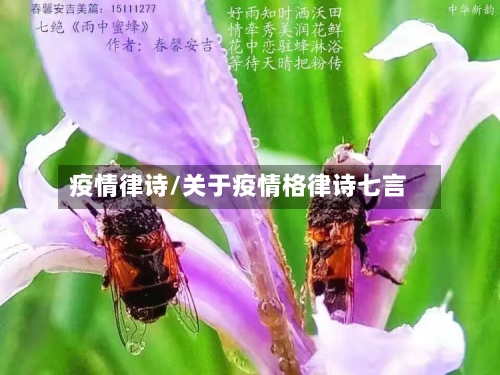 疫情律诗/关于疫情格律诗七言-第3张图片