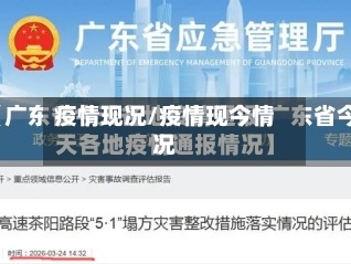 疫情现况/疫情现今情况-第1张图片