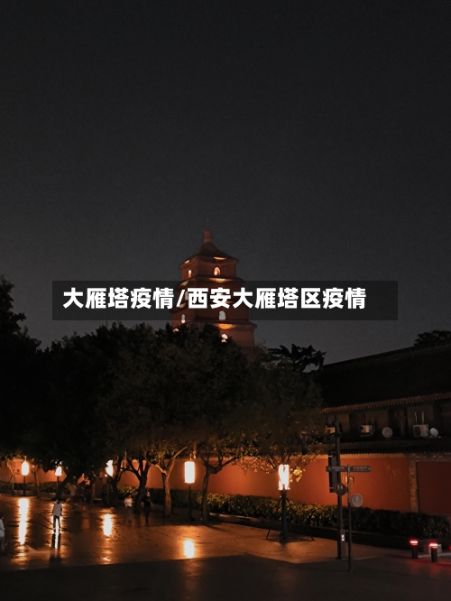 大雁塔疫情/西安大雁塔区疫情-第1张图片