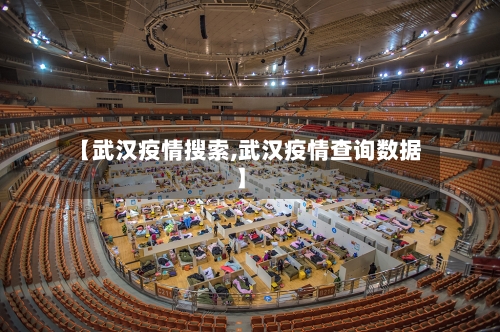 【武汉疫情搜索,武汉疫情查询数据】-第2张图片