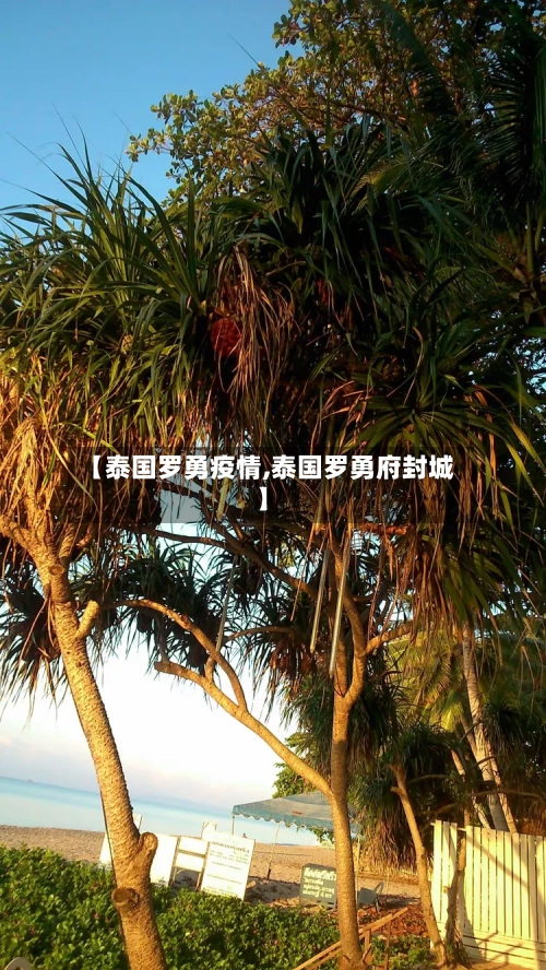 【泰国罗勇疫情,泰国罗勇府封城】-第2张图片