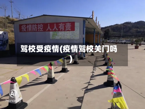 驾校受疫情(疫情驾校关门吗)-第1张图片