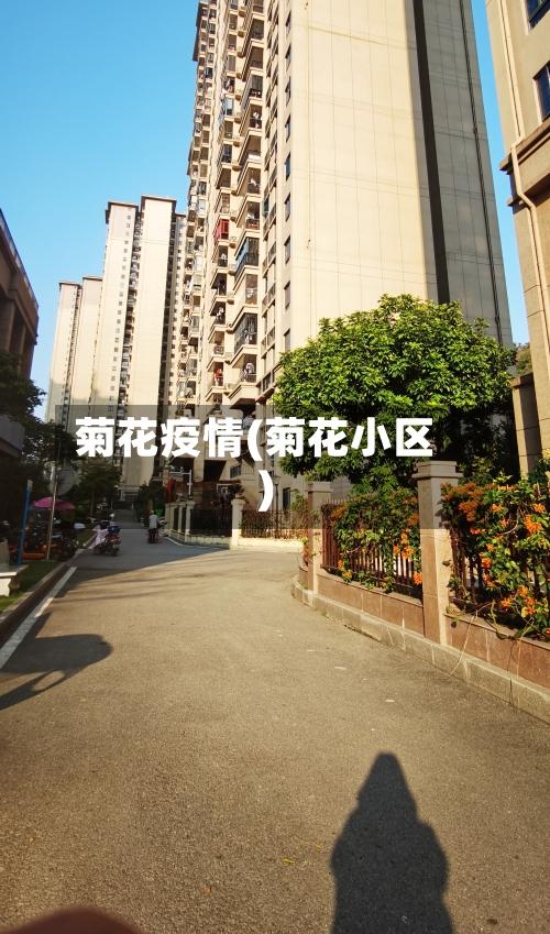 菊花疫情(菊花小区)-第2张图片