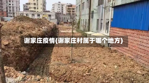 谢家庄疫情(谢家庄村属于哪个地方)-第2张图片