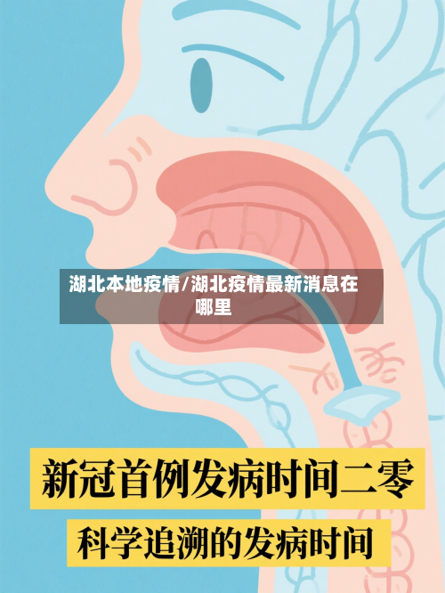 湖北本地疫情/湖北疫情最新消息在哪里-第2张图片