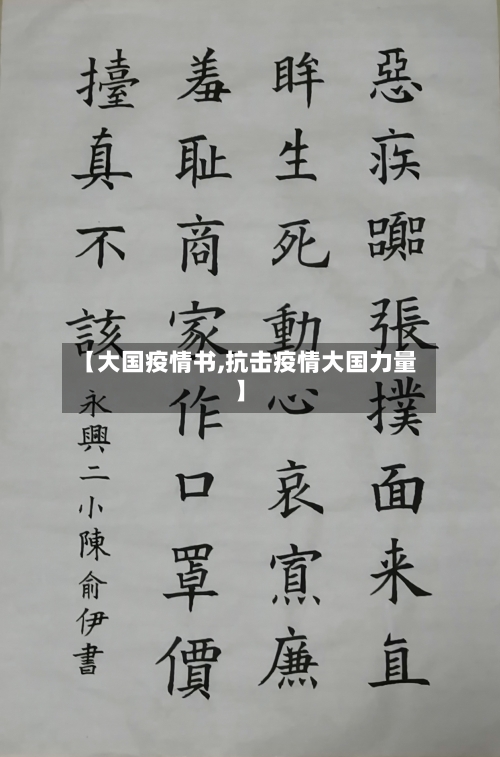 【大国疫情书,抗击疫情大国力量】-第1张图片