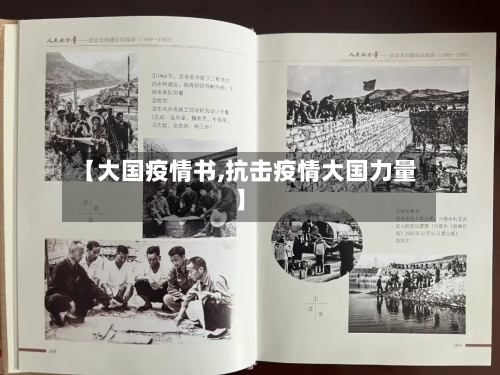 【大国疫情书,抗击疫情大国力量】-第2张图片