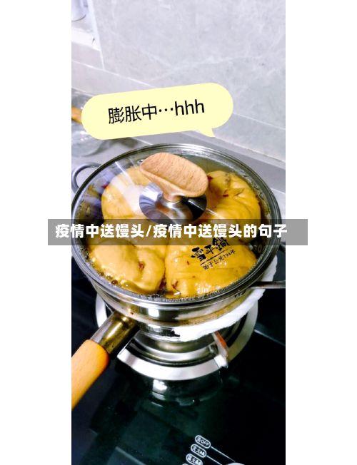 疫情中送馒头/疫情中送馒头的句子-第2张图片