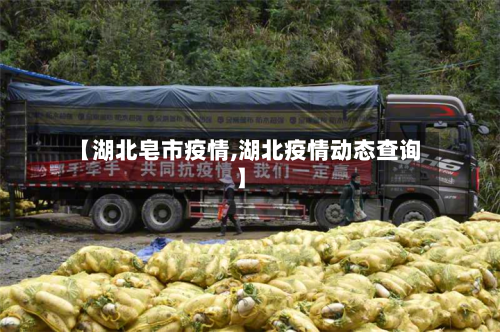 【湖北皂市疫情,湖北疫情动态查询】-第2张图片