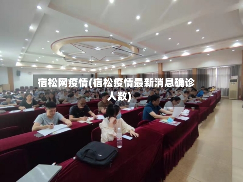宿松网疫情(宿松疫情最新消息确诊人数)-第2张图片