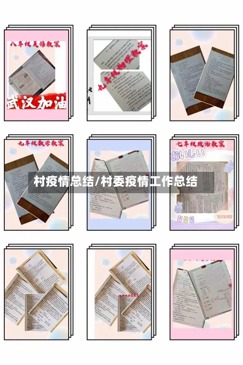 村疫情总结/村委疫情工作总结-第2张图片