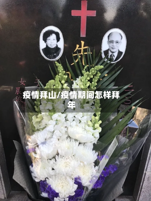 疫情拜山/疫情期间怎样拜年-第1张图片