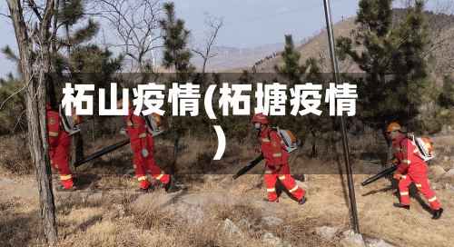 柘山疫情(柘塘疫情)-第1张图片