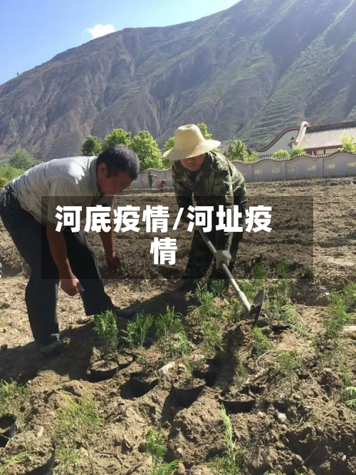 河底疫情/河址疫情-第2张图片
