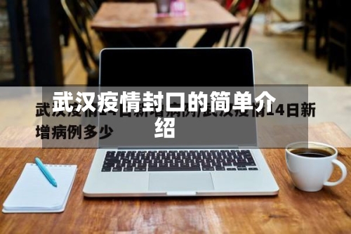 武汉疫情封口的简单介绍-第2张图片